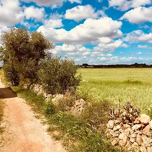Arthouse Mit Haus Galeria 110qm Und Appartementhaus Mit Patio 30qm Casa vacanze Campos (Mallorca)